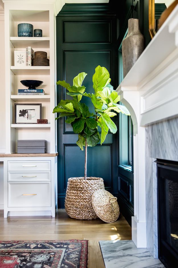 Choose Indoor Plants | Living Room Hacks From Interior Designers and Decorators