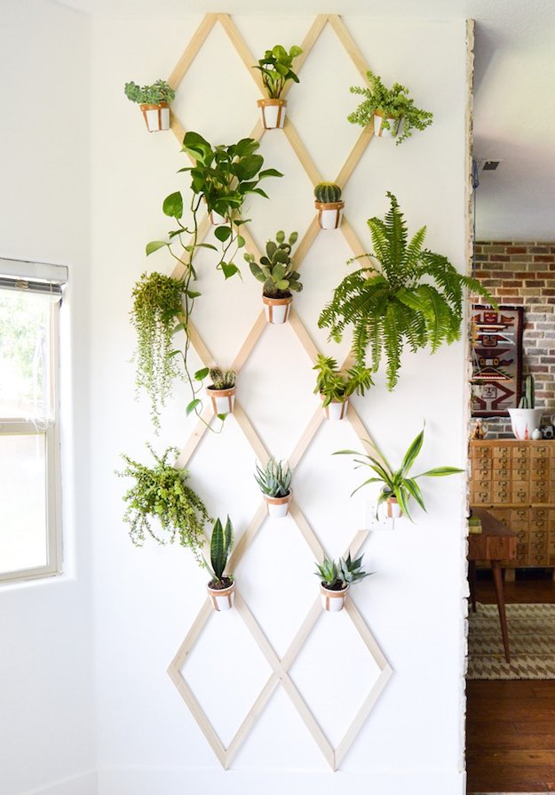 Trellis Plant Wall | Simple DIY Wall Decor Projects To Fill Up Your Plain Walls