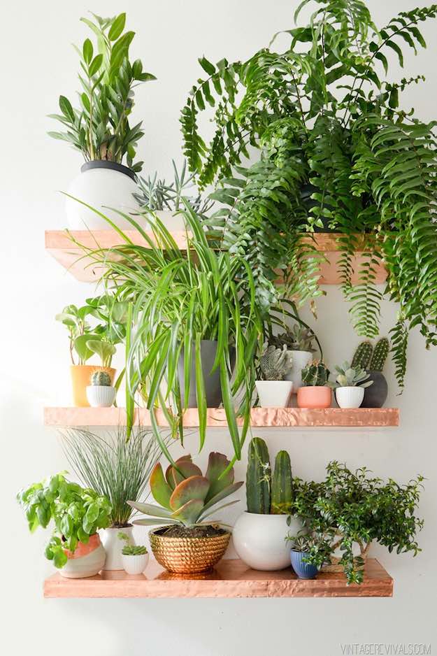 Plants | Creative Floating Shelves Designs To Inspire Your #Shelfie