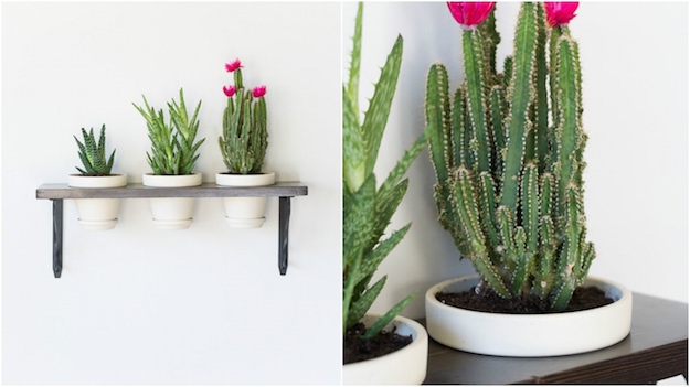 Floating Shelves | Room Without Windows: How To DIY An Indoor Garden
