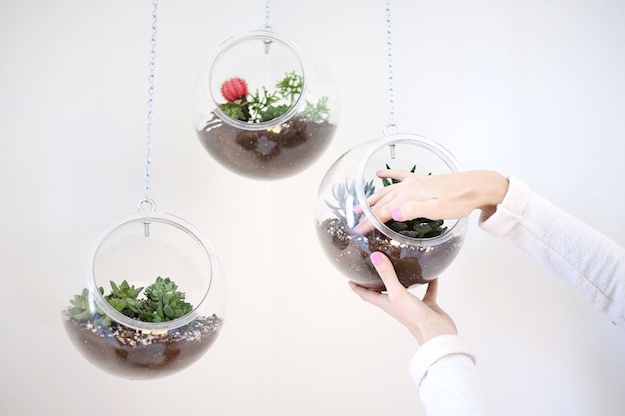 Fishbowl Planters | Room Without Windows: How To DIY An Indoor Garden
