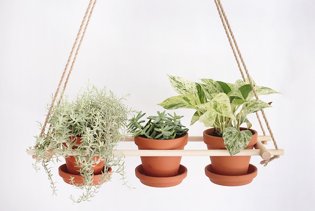 Wood and Rope Planter | Room Without Windows: How To DIY An Indoor Garden