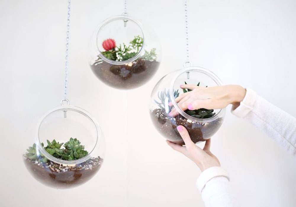 Room Without Windows: How To DIY An Indoor Garden