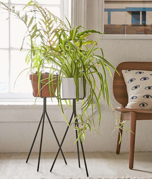 Tripod Plant Stand | Black Friday Furniture Deals You Need To Know