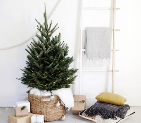 Christmas Trees For Living Room Decorating This Holiday Season